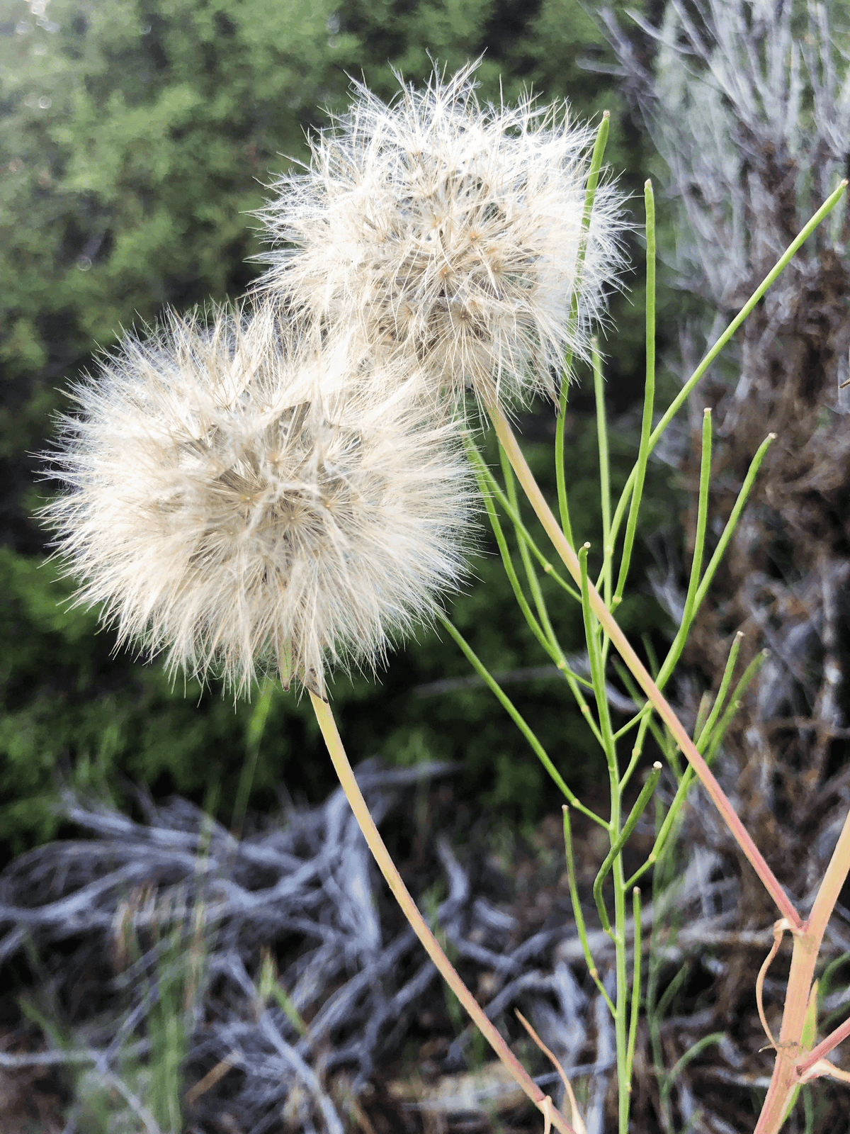 Quiet Resilience