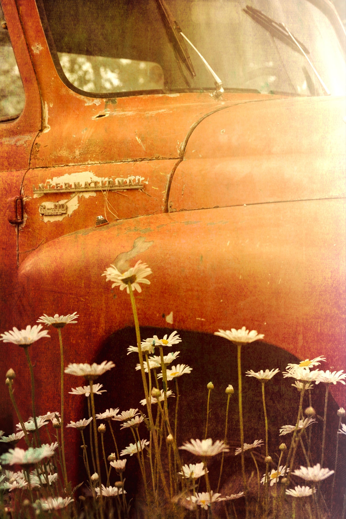 Rust and Memory