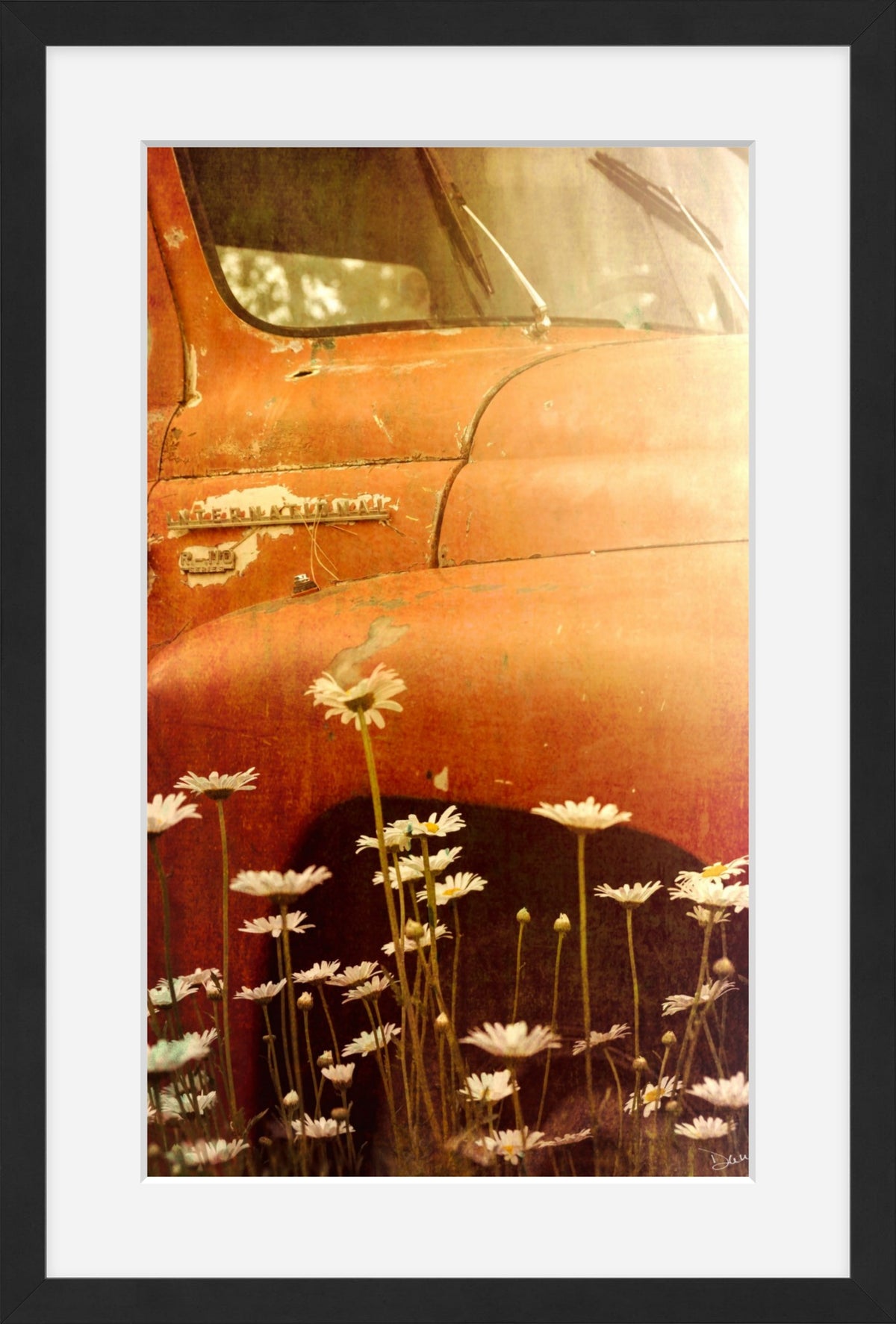 Old International R-110 Truck in Daisy Field – Rustic Flower Truck Print