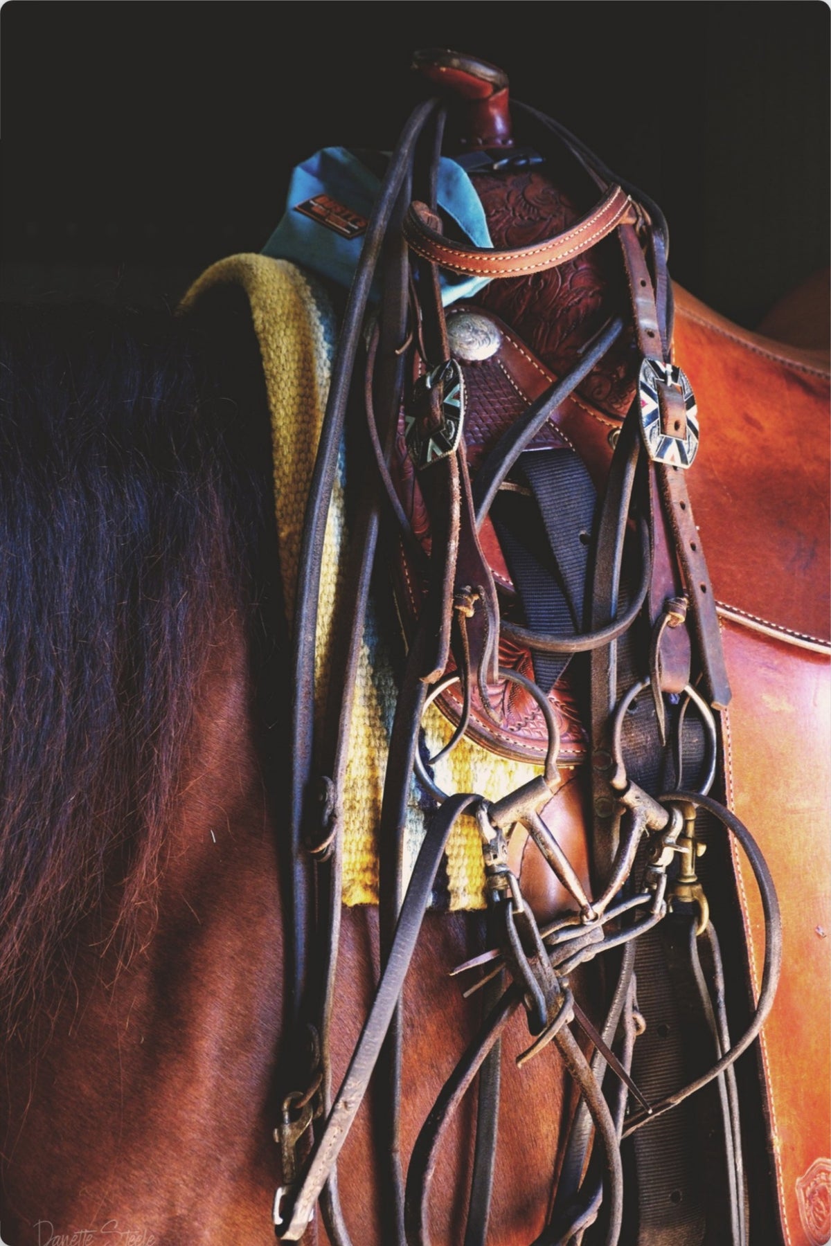 Western Saddle and Bridle on a Chestnut Horse — Equestrian Photo