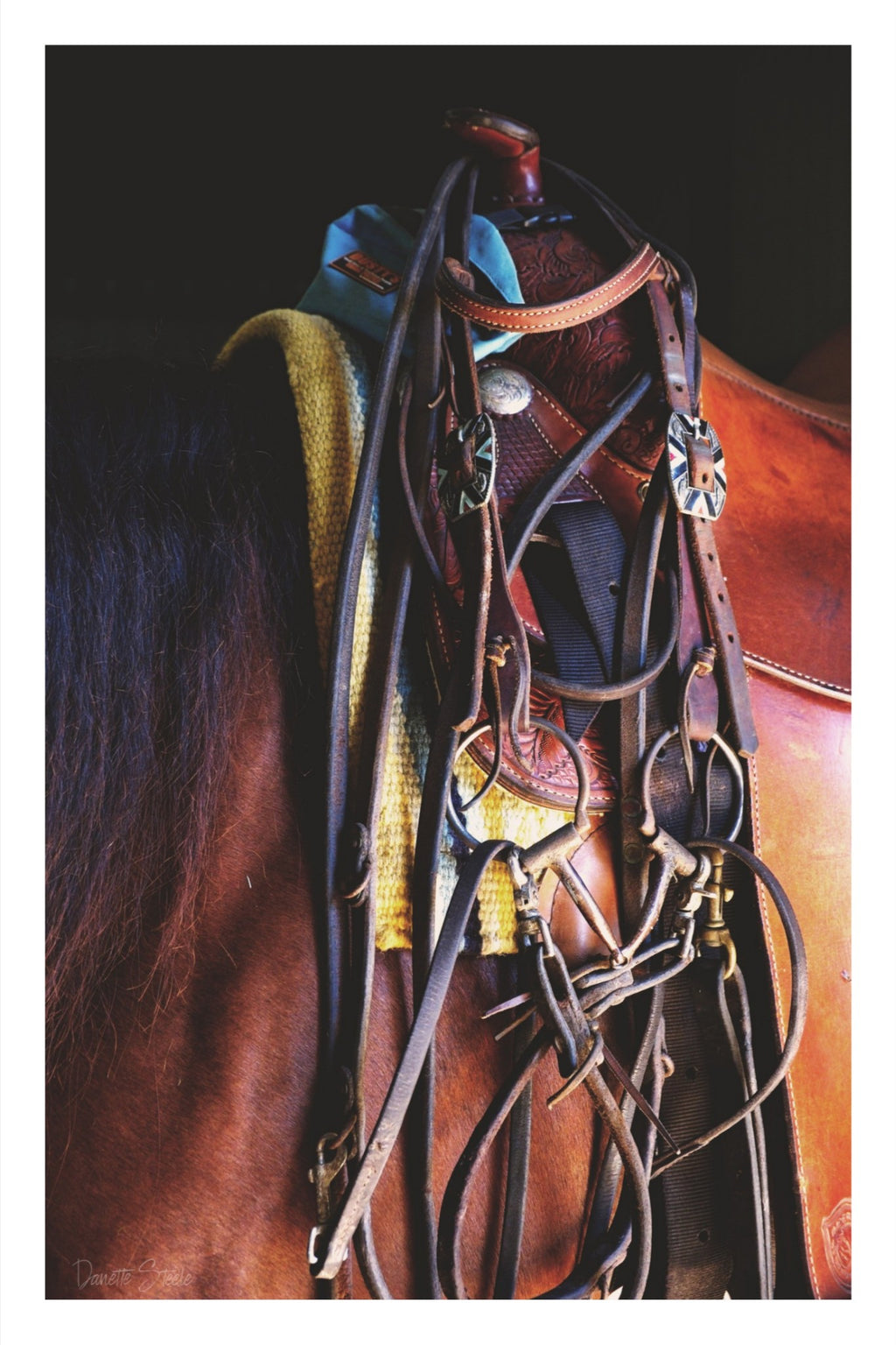 Western Saddle and Bridle on a Chestnut Horse — Equestrian Photo