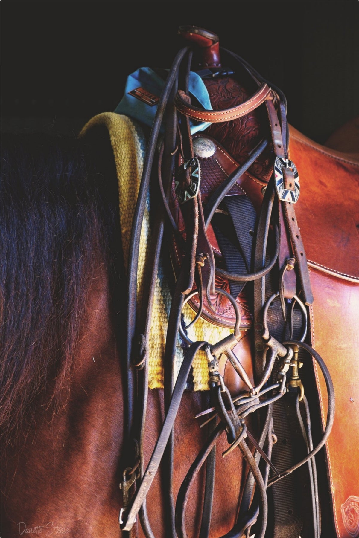 Western Saddle and Bridle on a Chestnut Horse — Equestrian Photo