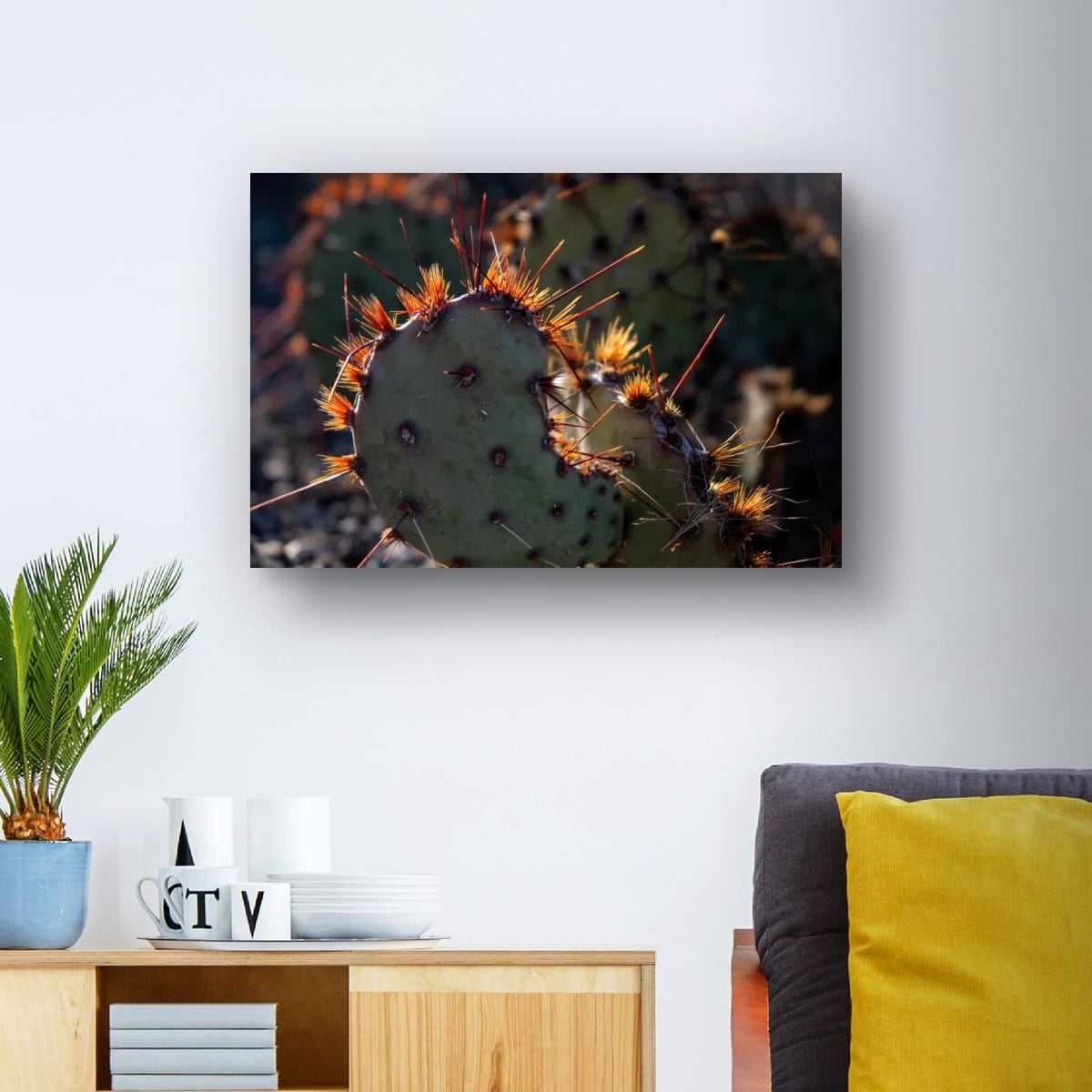 Sunset Cactus Western Desert Photograph Limited Edition of 50