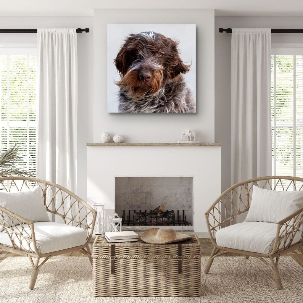 Salt and Whiskers Canine Photography Limited edition of 50