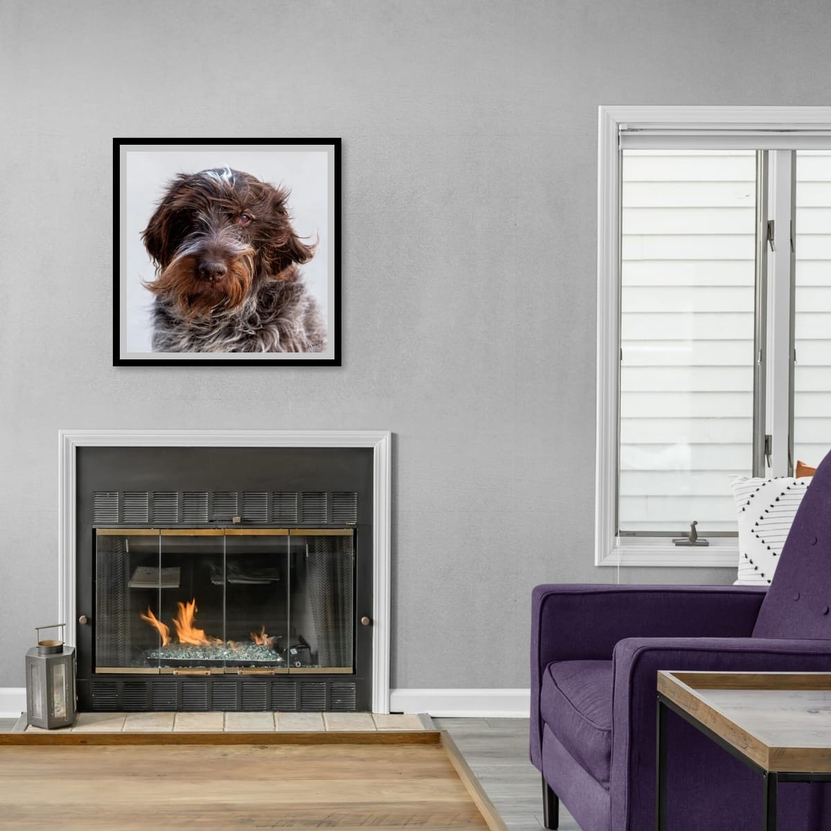 Salt and Whiskers Canine Photography Limited edition of 50