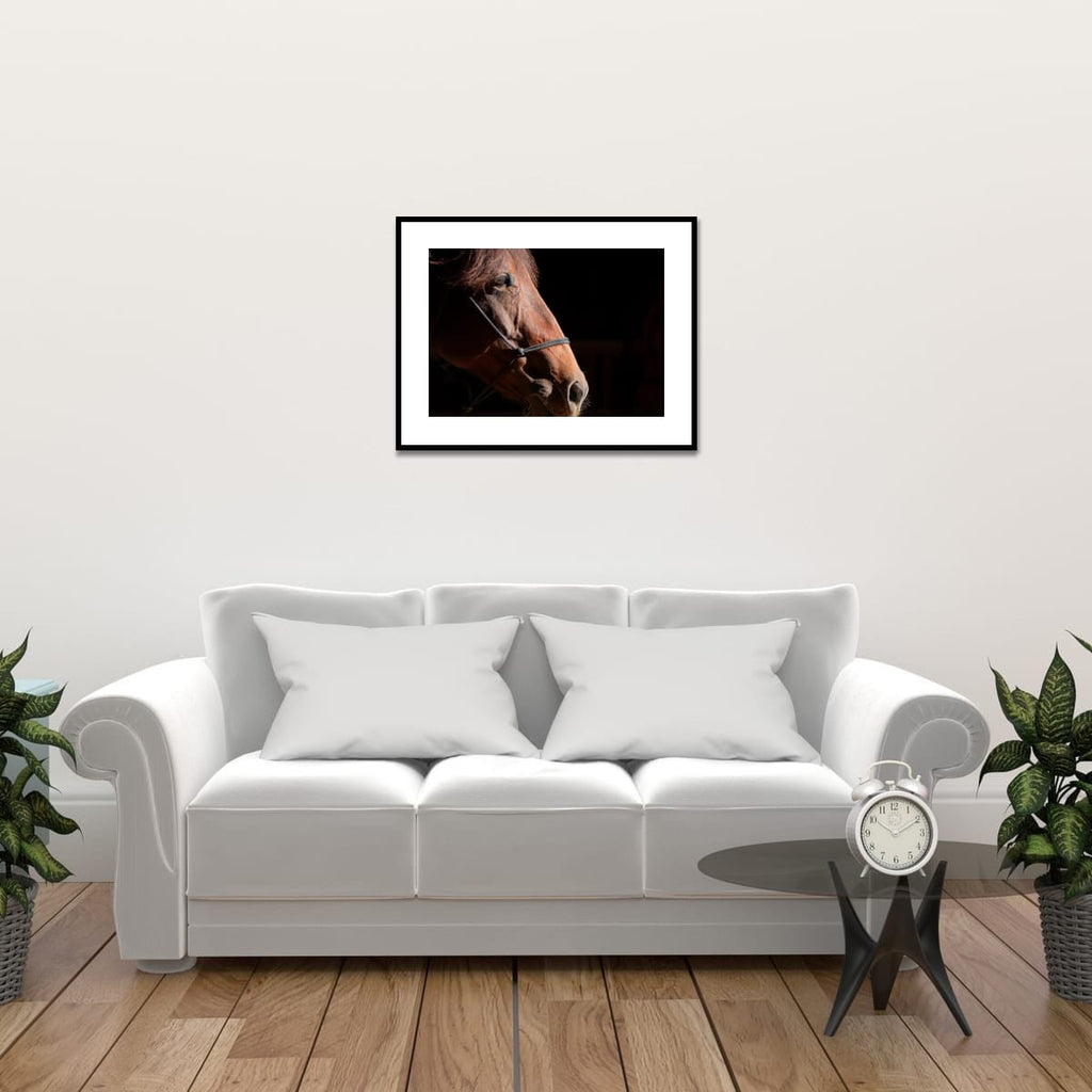 Ruth A Quiet Portrait of Equine Grace Horse Photography Limited Edition of 50