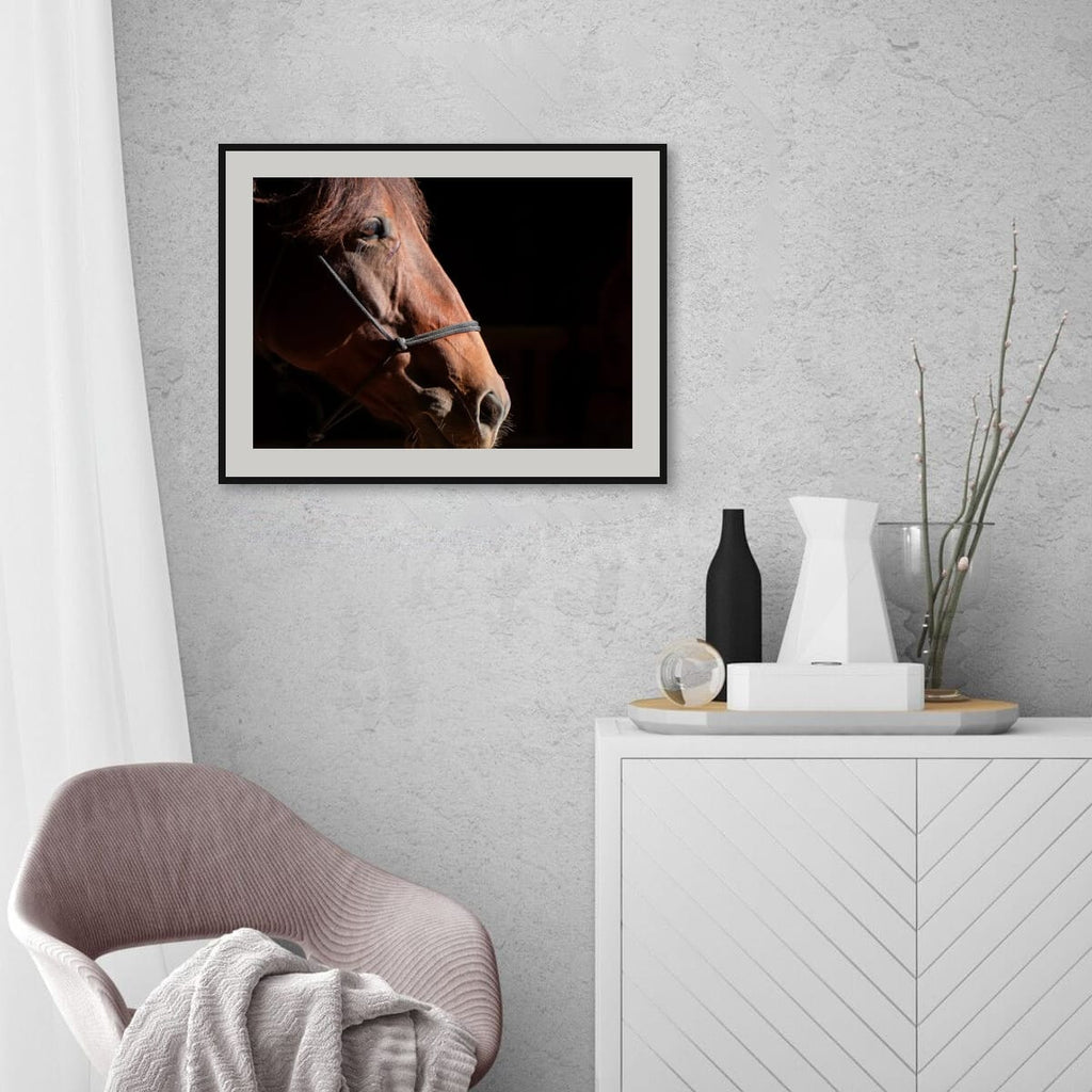 Ruth A Quiet Portrait of Equine Grace Horse Photography Limited Edition of 50