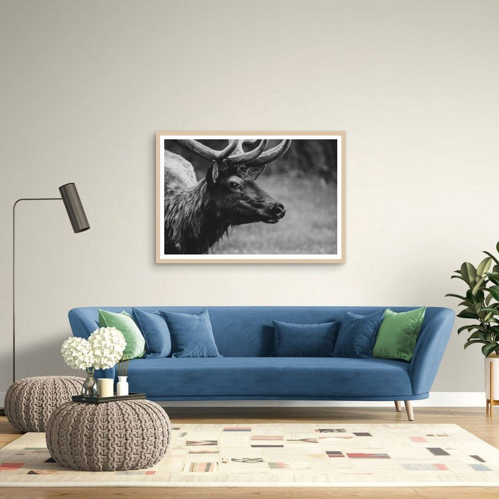 Bull Elk Western Wildlife Photography Limited Edition of 50