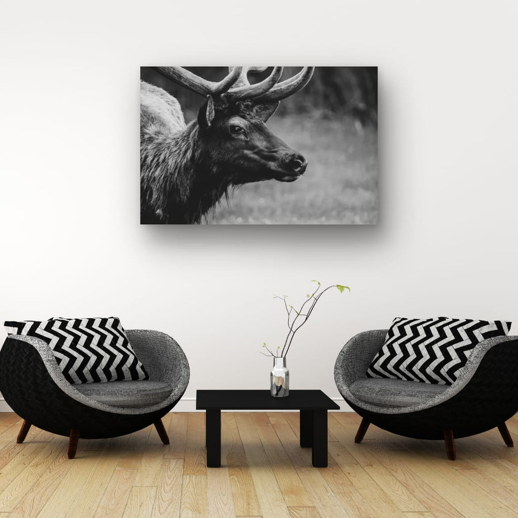Bull Elk Western Wildlife Photography Limited Edition of 50