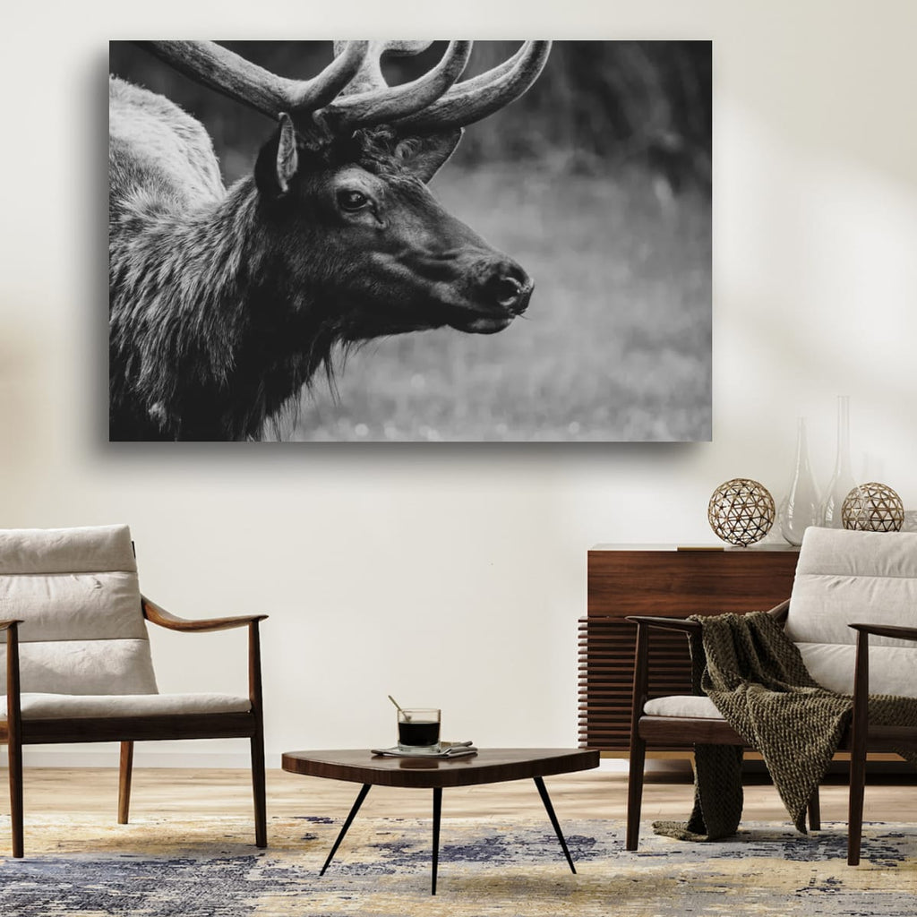 Bull Elk Western Wildlife Photography Limited Edition of 50