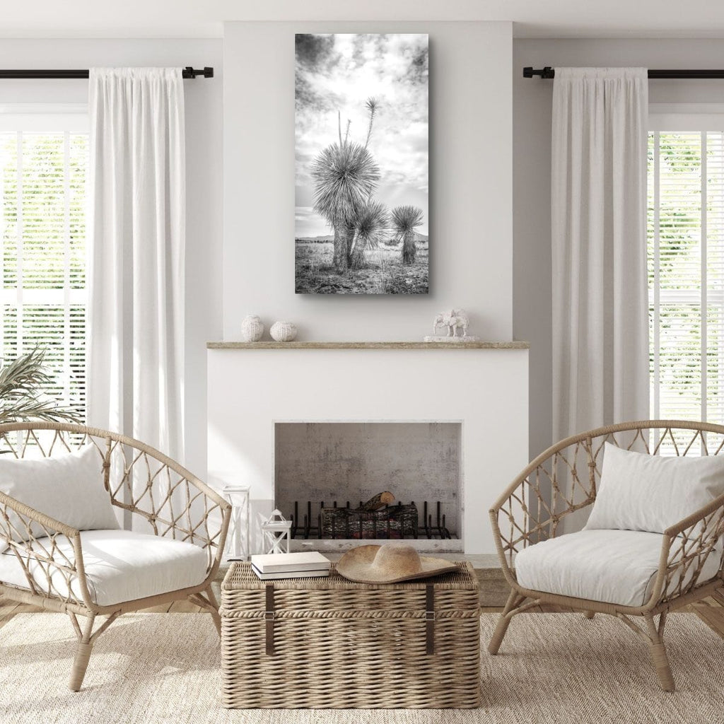 Aspero Black & White Yucca Desert Fine Art Photography Limited Edition of 50