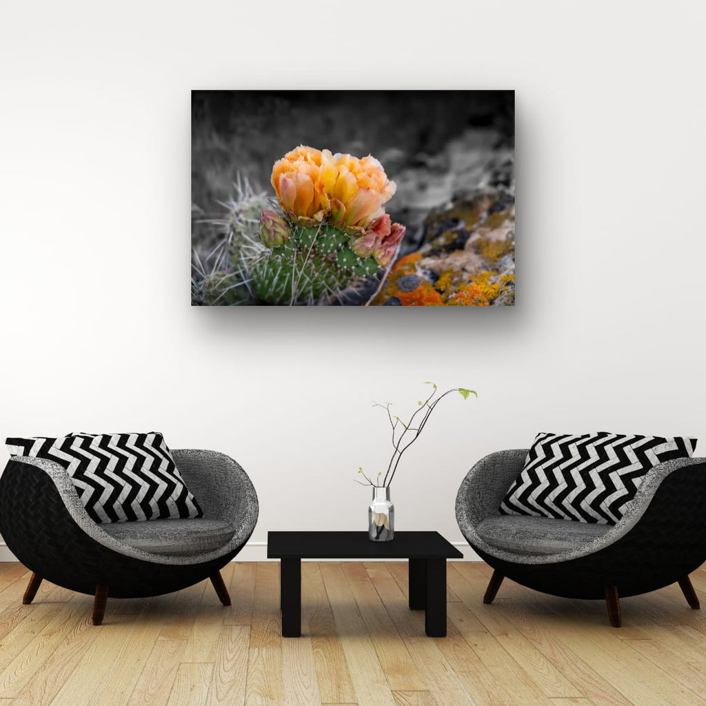 Defiant Bloom Colorado High Desert Photography Limited Edition of 50