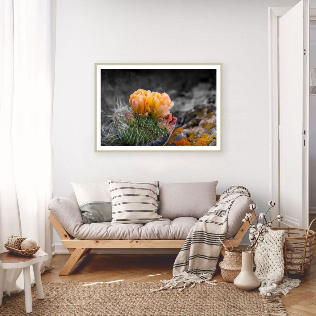 Defiant Bloom Colorado High Desert Photography Limited Edition of 50
