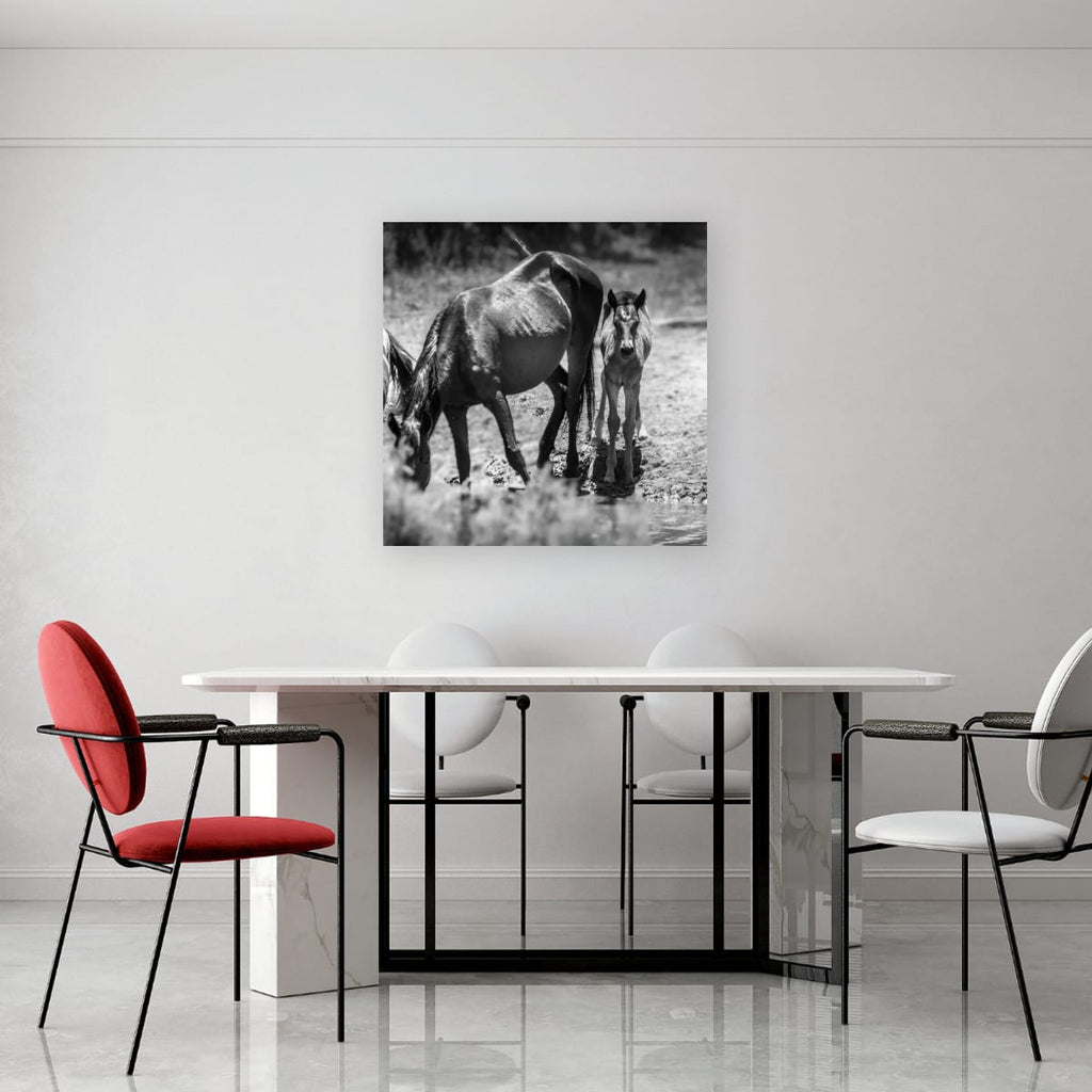 Wild Child Wild Mustang Photography Limited Edition of 50