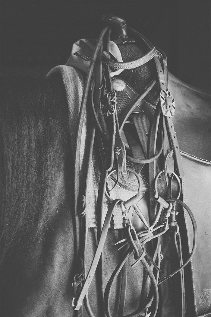 A tangle of leather tack — bridle, reins, and saddle straps — hanging against a horse's back and mane, in black and white.